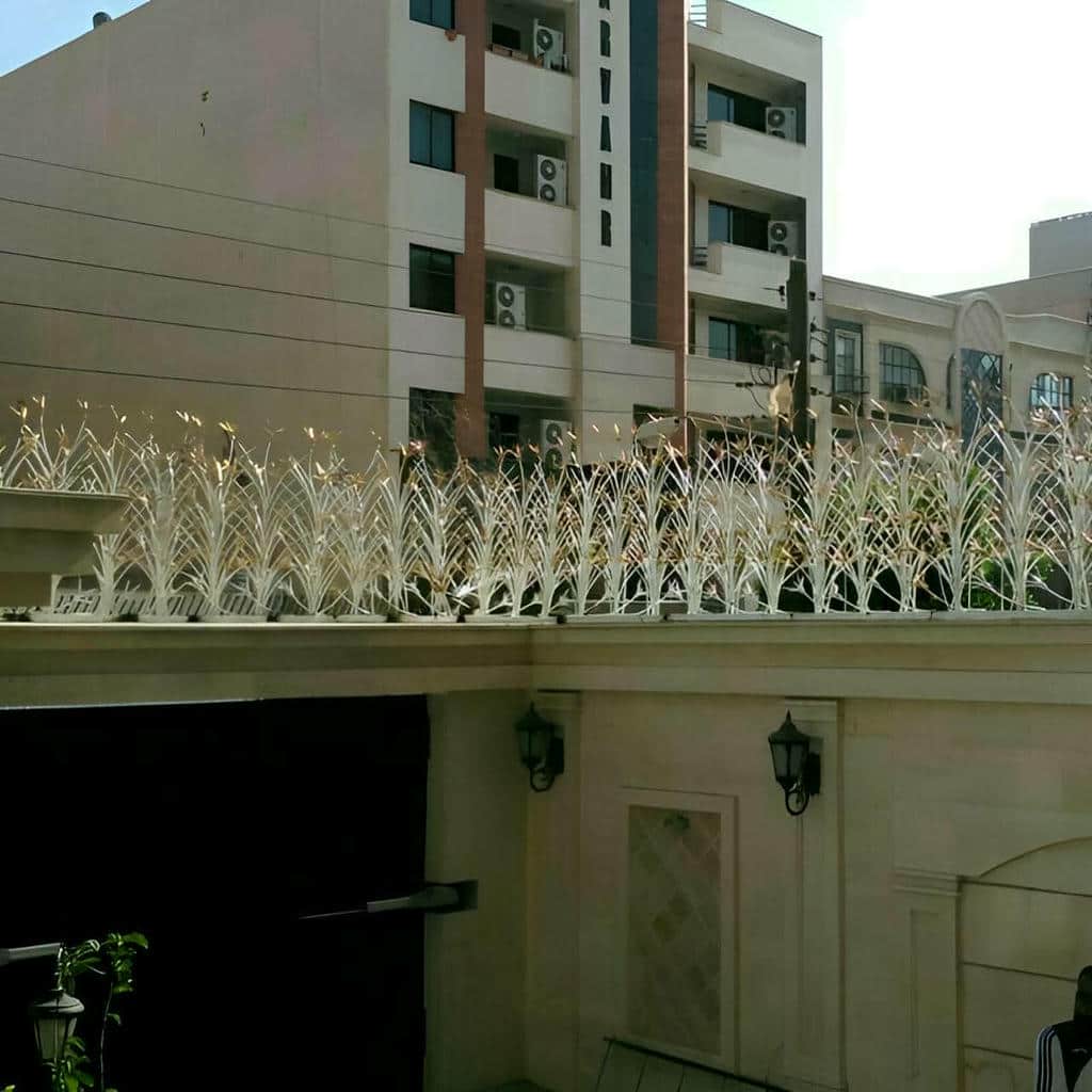 کارخانه حفاظ شاخ گوزنی نوک تقویت شده در سنندج