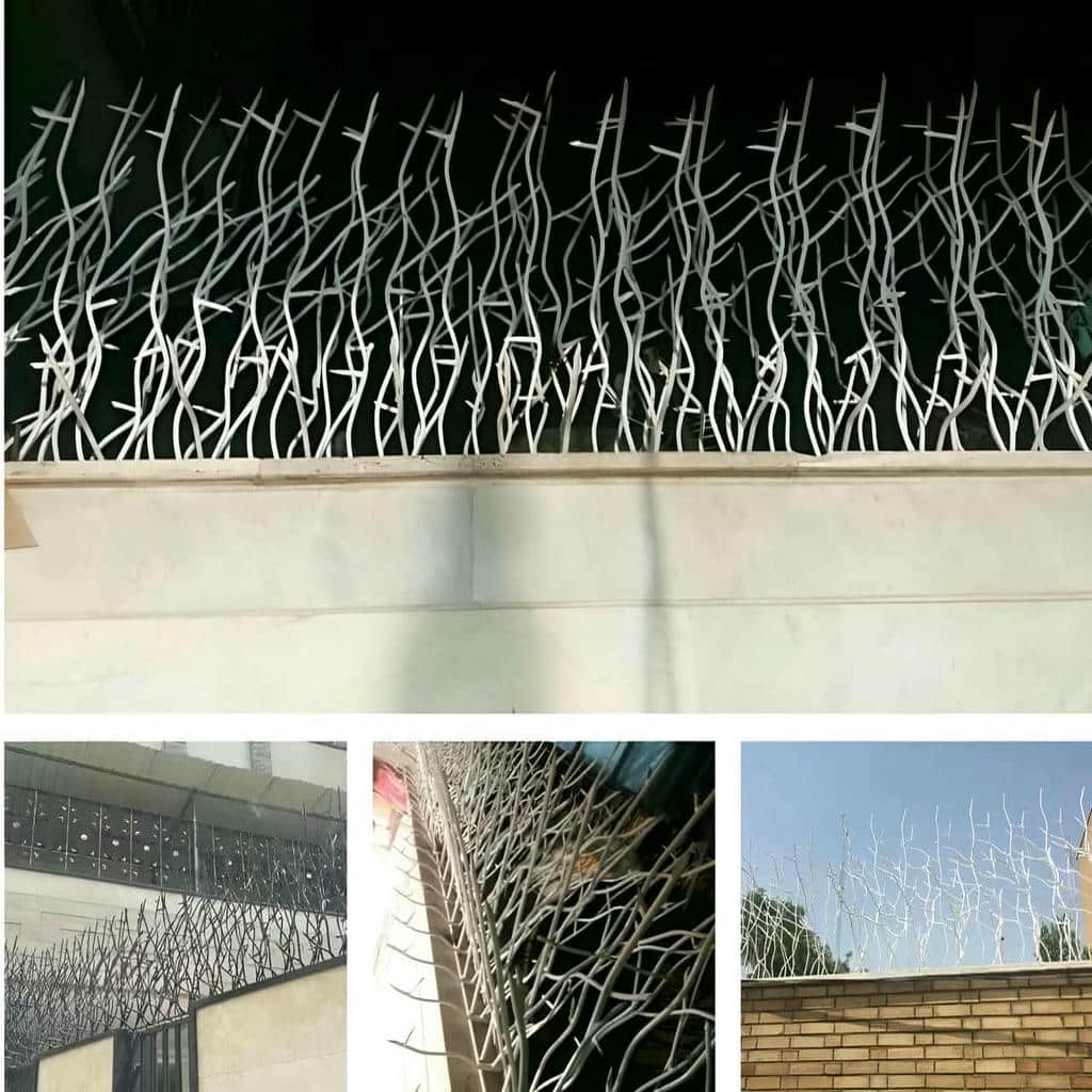 حفاظ شاخ گوزنی در فردیس کرج