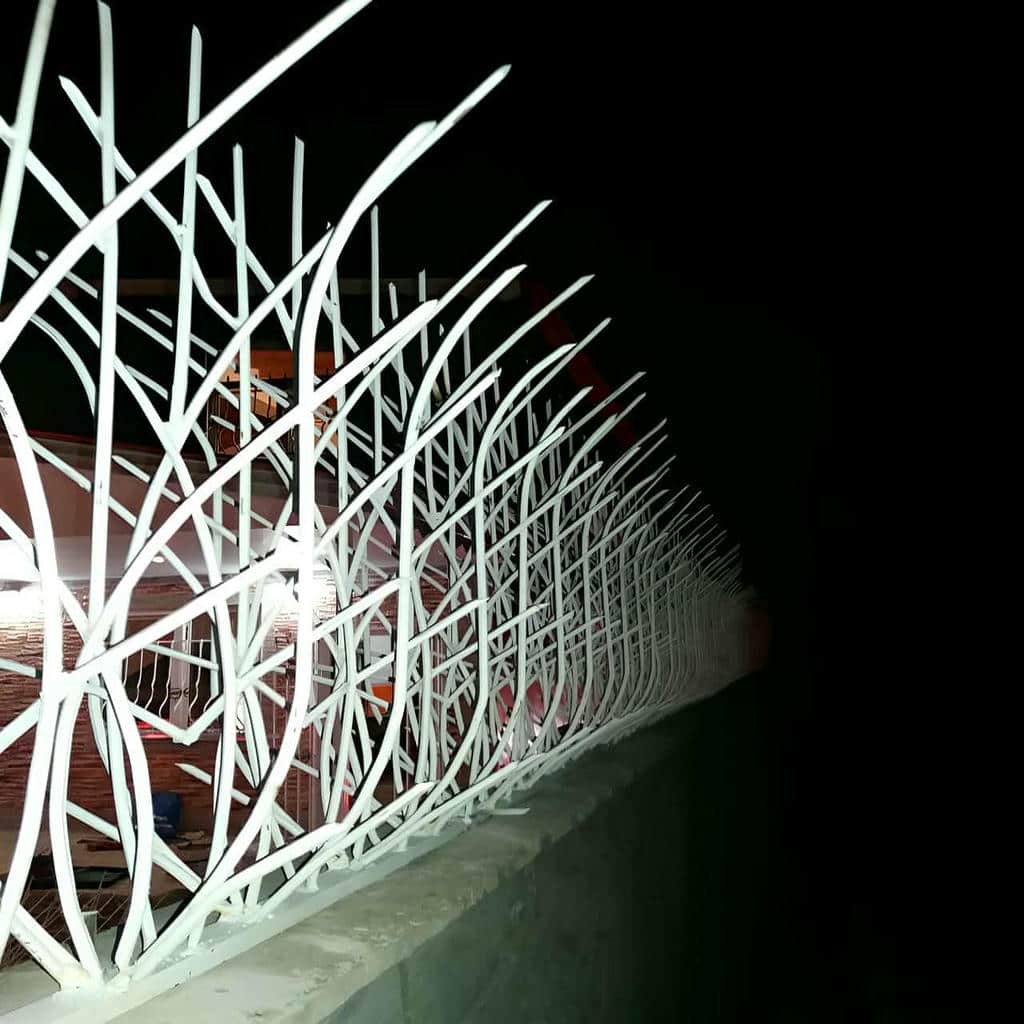 حفاظ شاخ گوزنی در استان خوزستان