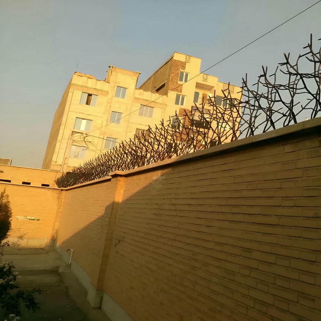 خرید حفاظ شاخ گوزنی تراکم متعادل در آبسرد