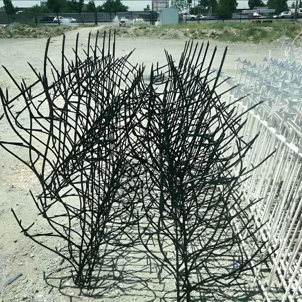 قیمت حفاظ شاخ گوزنی محوطه مسکونی در کمال شهر