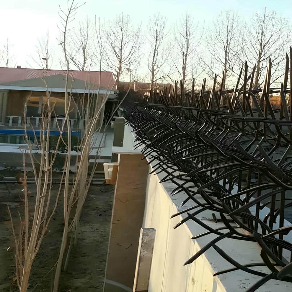 خرید حفاظ شاخ گوزنی شاخه متراکم در قائمشهر