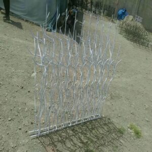 حفاظ شاخ گوزنی در اهواز