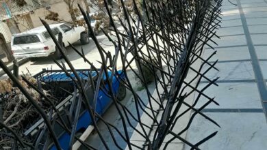 حفاظ شاخ گوزنی در ایرانشهر