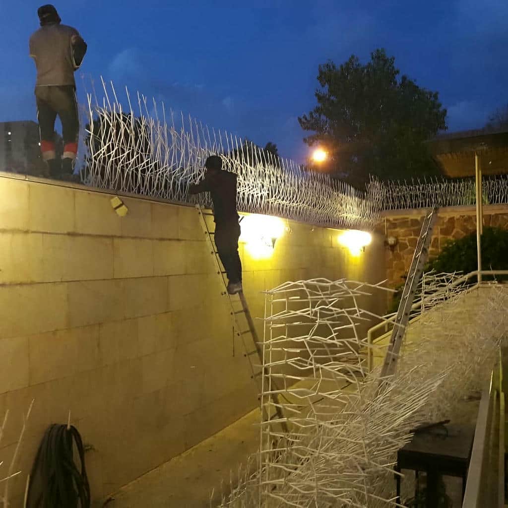 کارخانه حفاظ شاخ گوزنی ارتفاع متغیر در نسیم شهر