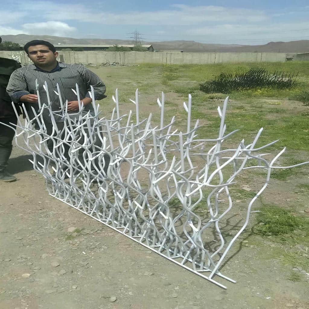 قیمت حفاظ شاخ گوزنی شاخه متراکم در همدان