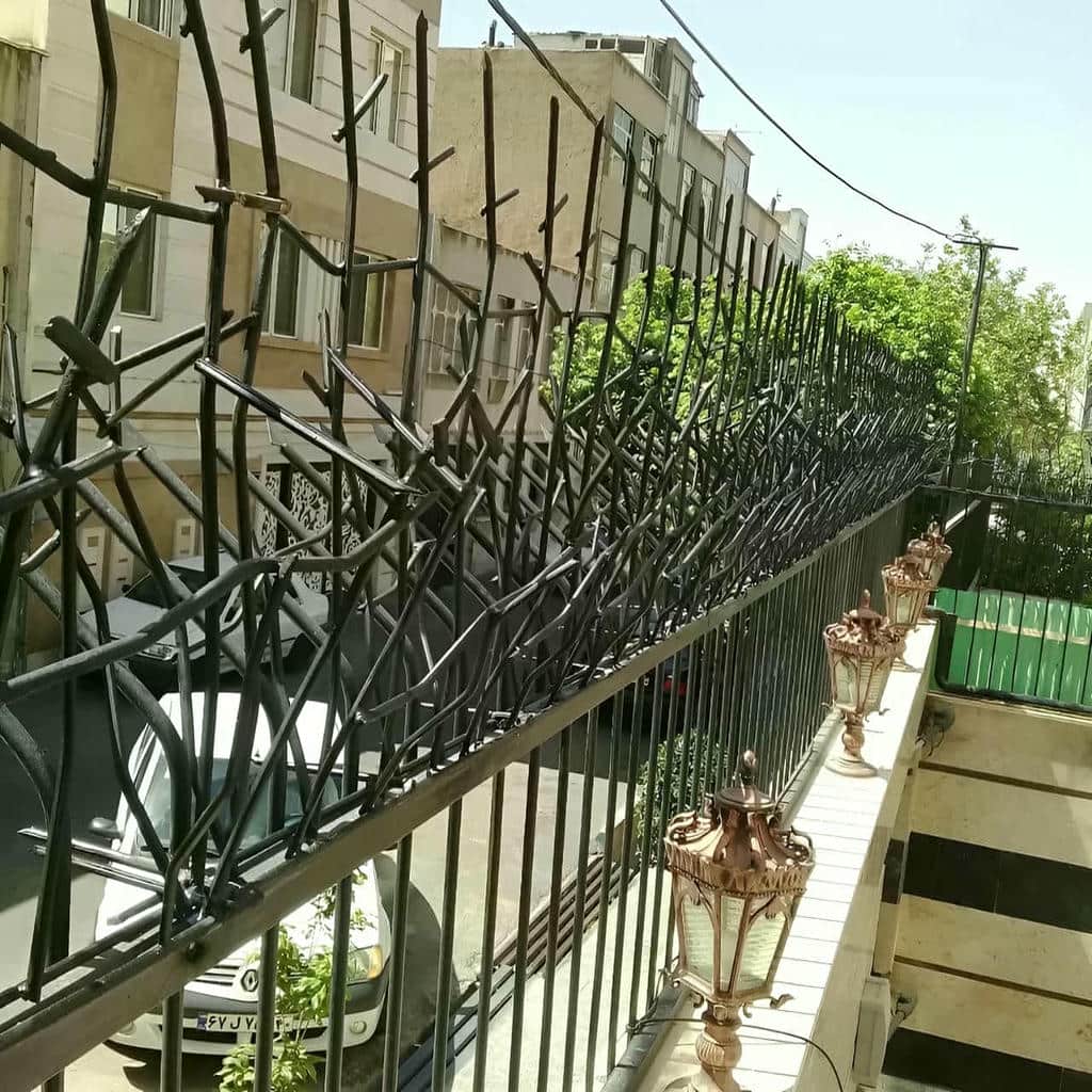 کارخانه حفاظ شاخ گوزنی ارتفاع کنترل شده در گنبدکاووس