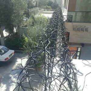 حفاظ شاخ گوزنی در لواسان