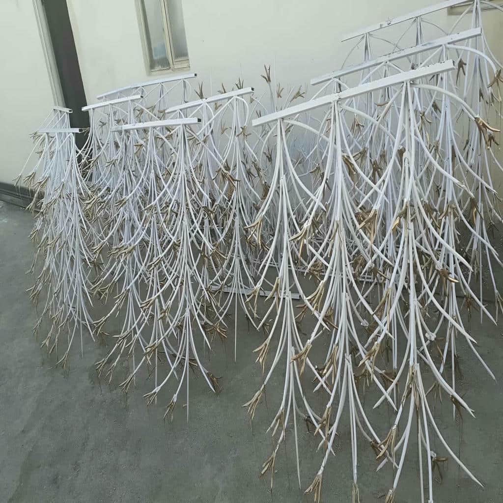 حفاظ شاخ گوزنی در کاشان