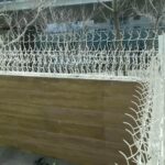 حفاظ شاخ گوزنی در چالوس