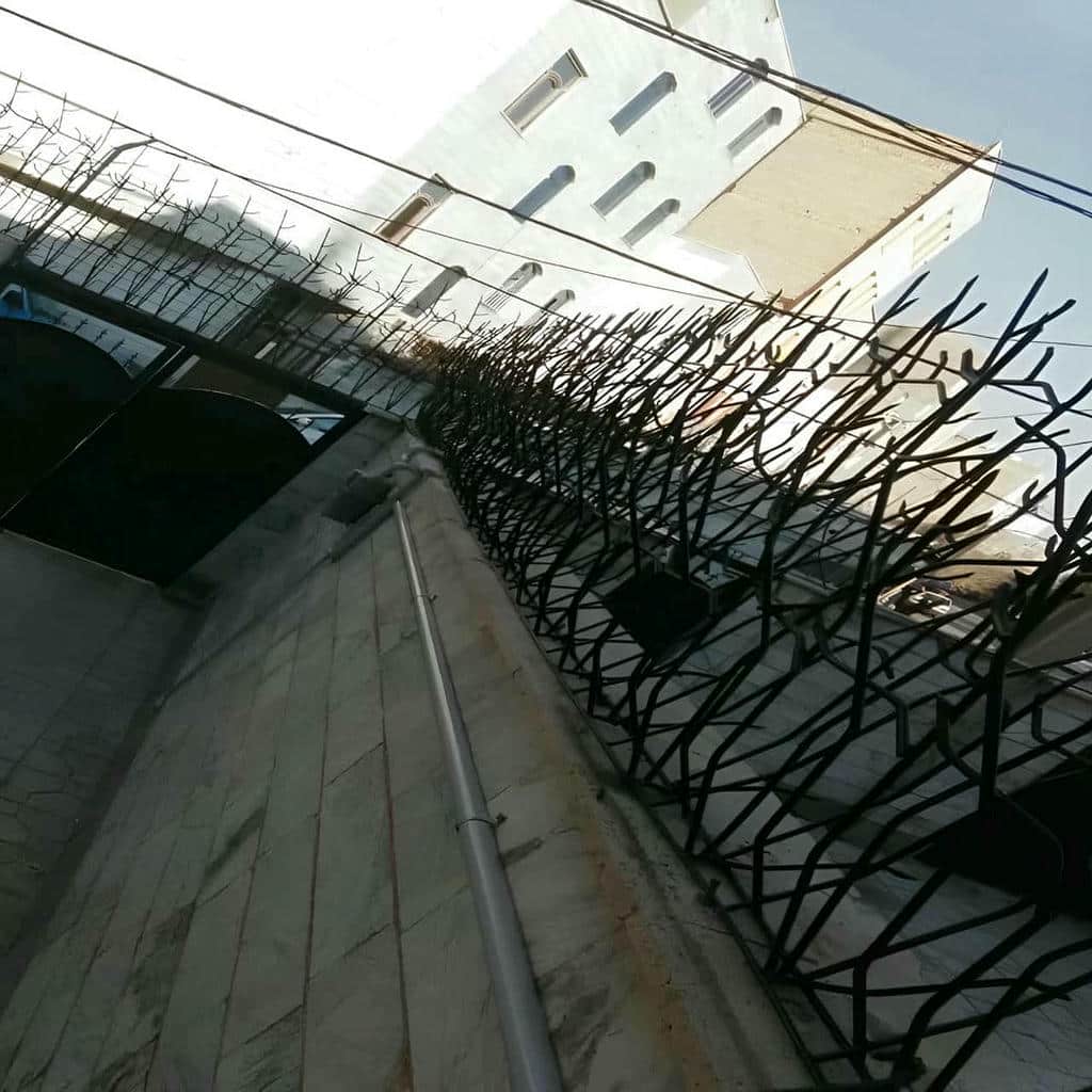 قیمت حفاظ شاخ گوزنی شاخه پرتراکم در بیرجند