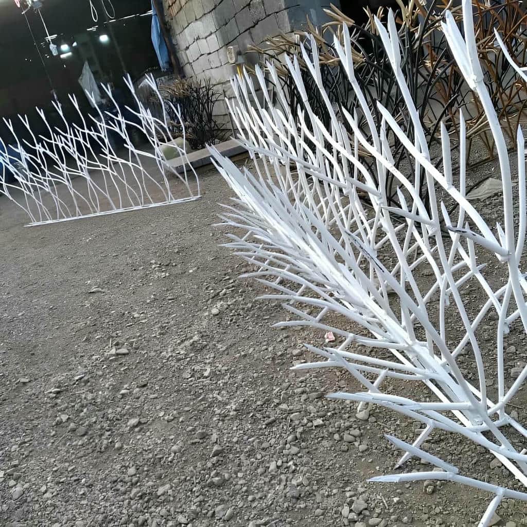 حفاظ شاخ گوزنی در بجنورد