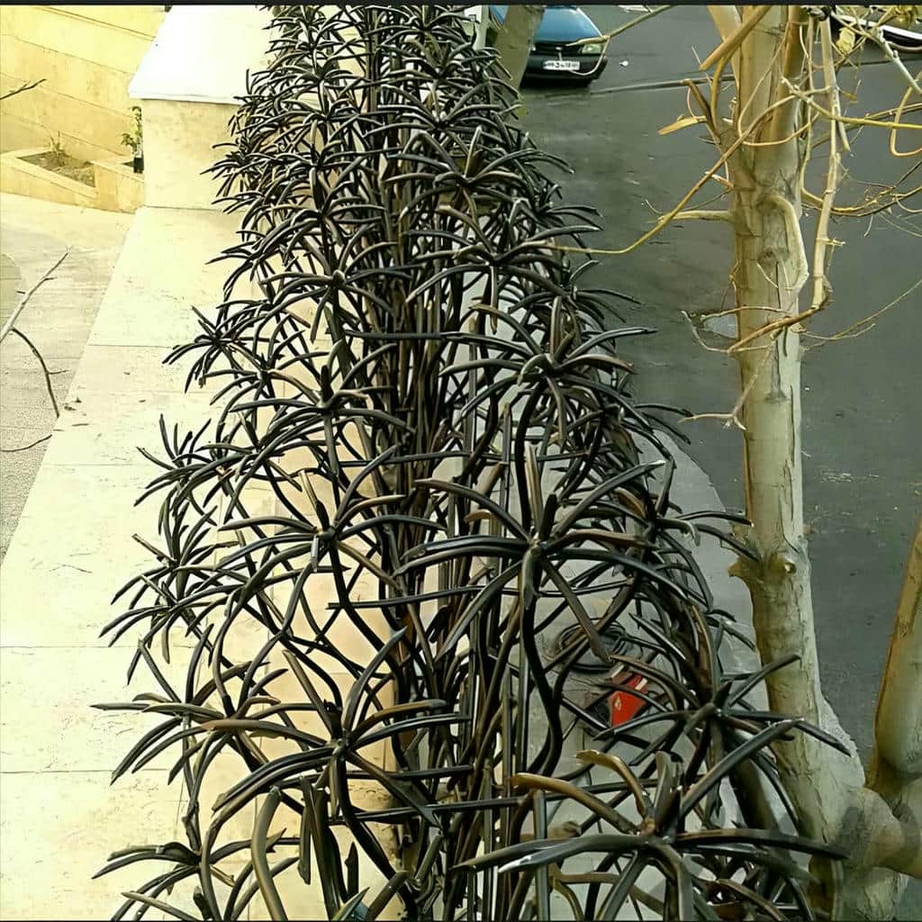 فروش حفاظ شاخ گوزنی شاخه فشرده در تهران