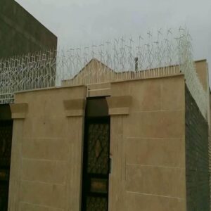 حفاظ شاخ گوزنی در ساوه