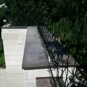 حفاظ شاخ گوزنی در خرم آباد