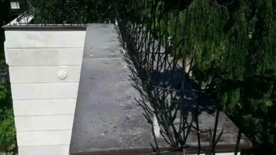 حفاظ شاخ گوزنی در خرم آباد