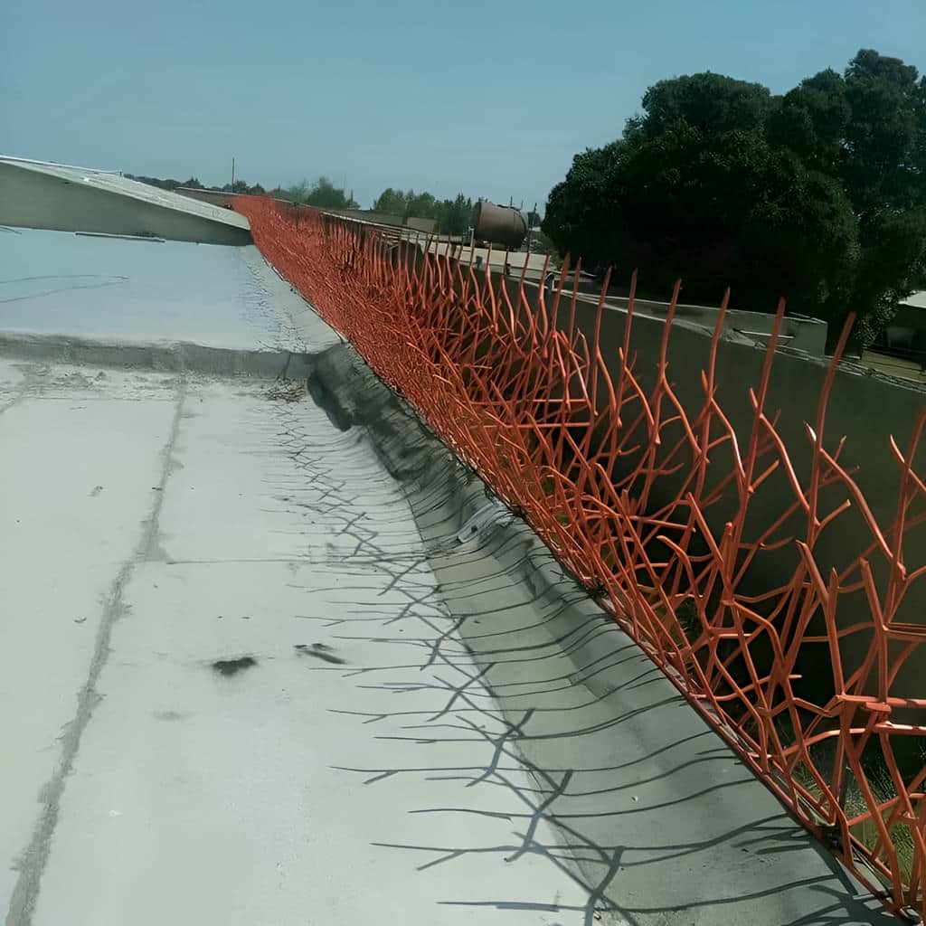 نصب حفاظ نیزار روی تاج دیوار باغ