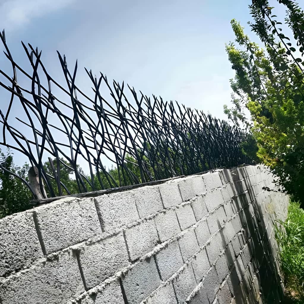 خرید حفاظ نیزار برای دیوار باغ