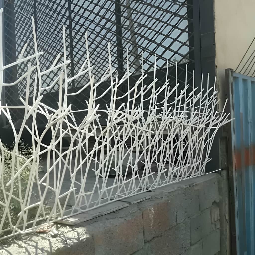 حفاظ شاخ گوزنی با رنگ مقاوم فضای باز