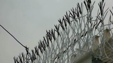 حفاظ دیوار کوتاه حیاط 9 نمونه