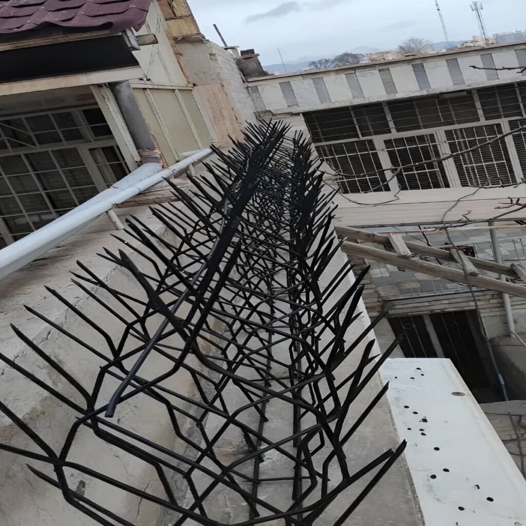حفاظ شاخ گوزنی پرتراکم امنیتی 11 طرح
