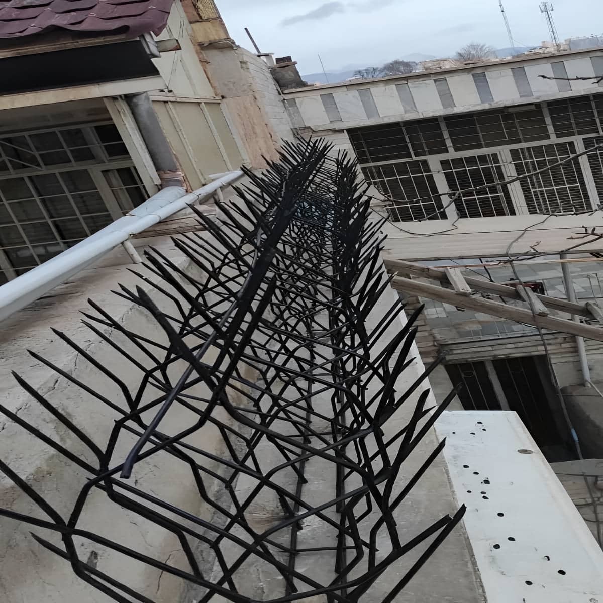 حفاظ شاخ گوزنی پرتراکم امنیتی 11 طرح