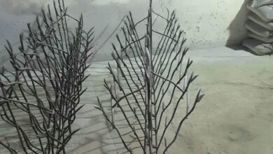 حفاظ دیوار ویلا نمای سنگی 11 طرح