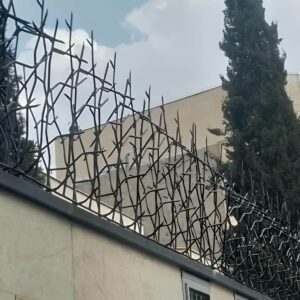 مقایسه قیمت ظاهر و امنیت حفاظ شاخ گوزنی و سرنیزه ای برای انتخاب بهتر