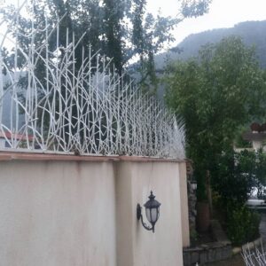 حفاظ نیزار دیوار باغ 11 طرح