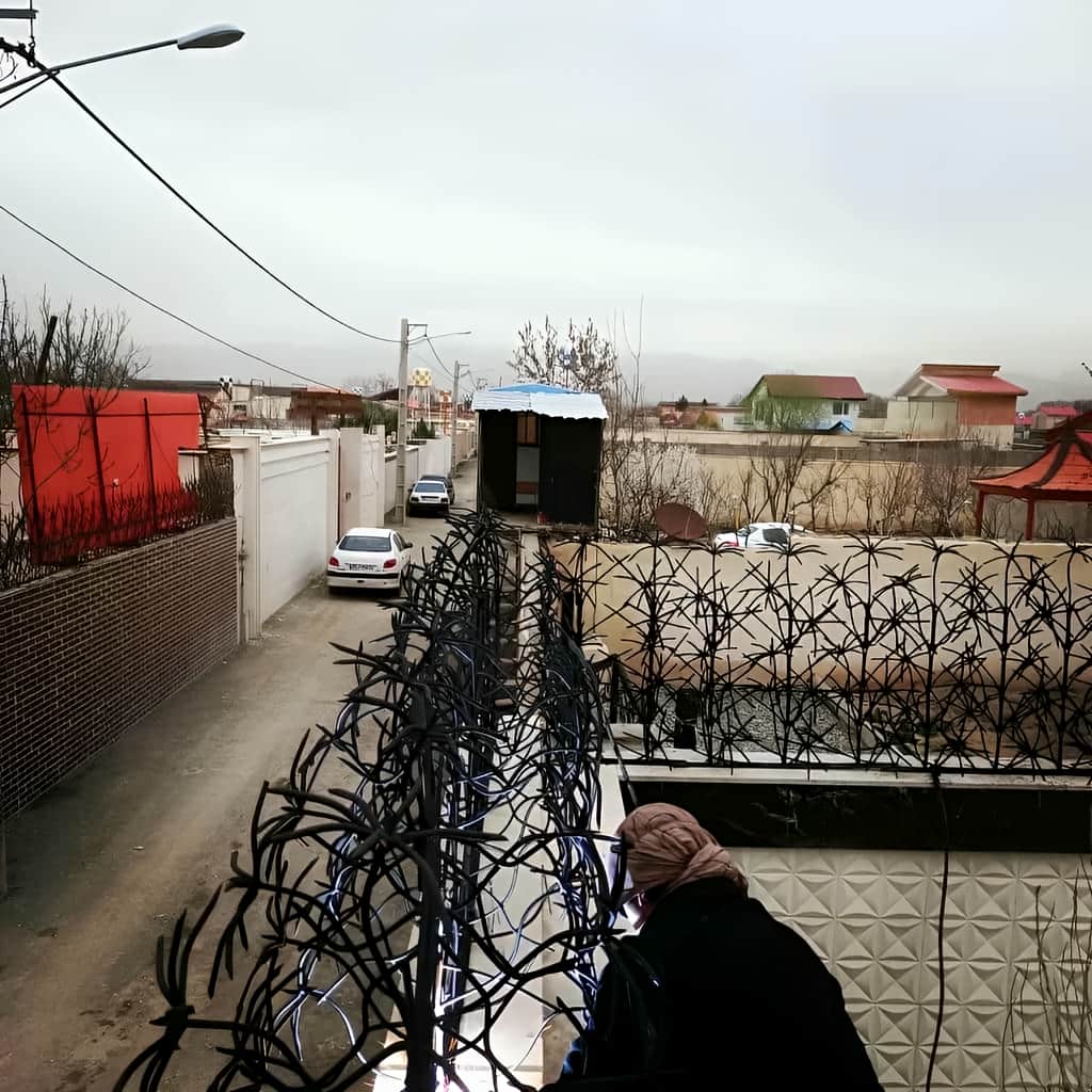 حفاظ نخل مرداب در مرحله بررسی تصاویر دیوار