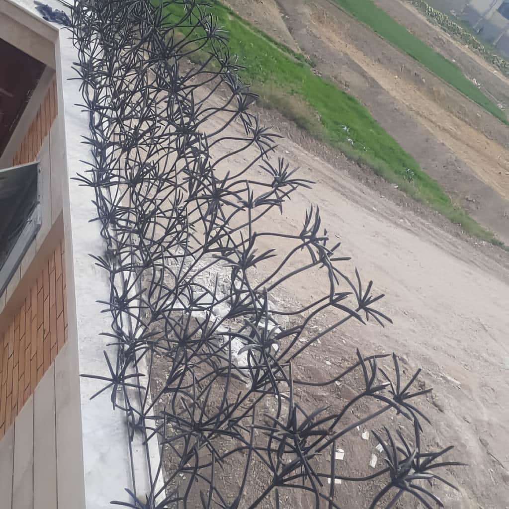حفاظ نخل مرداب با ابعاد ثبت شده برای سفارش اینترنتی