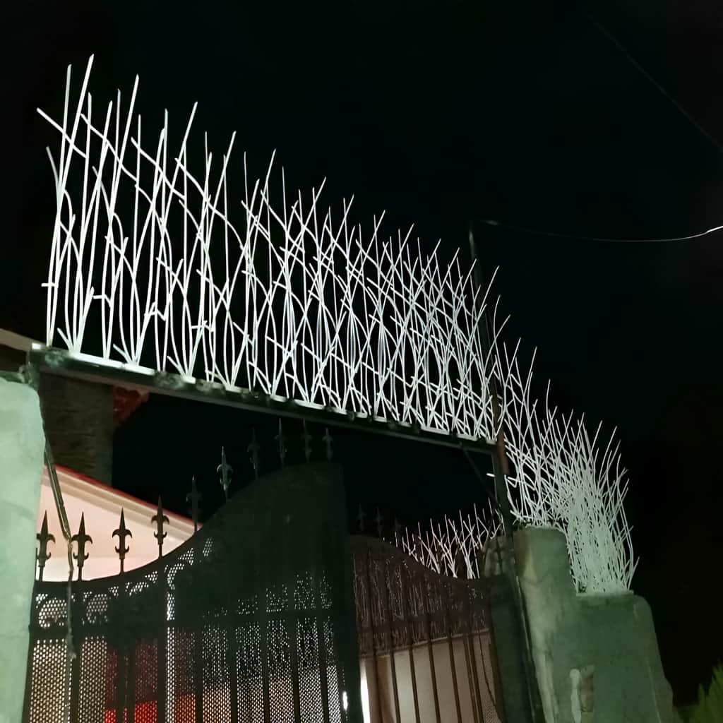حفاظ نیزار نصب شده روی دیوار ساختمان نوساز حفاظ نیزار نصب شده روی دیوار ساختمان نوساز