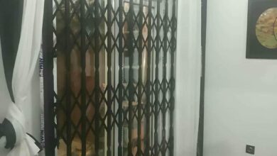 حفاظ درب آکاردئونی فلزی مشکی برای کنترل ورودی ساختمان در استان خراسان جنوبی