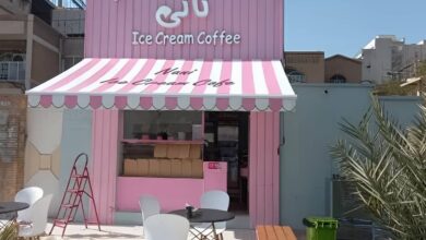 سایبان برقی مدل بازویی برای ورودی خانه در استان کردستان