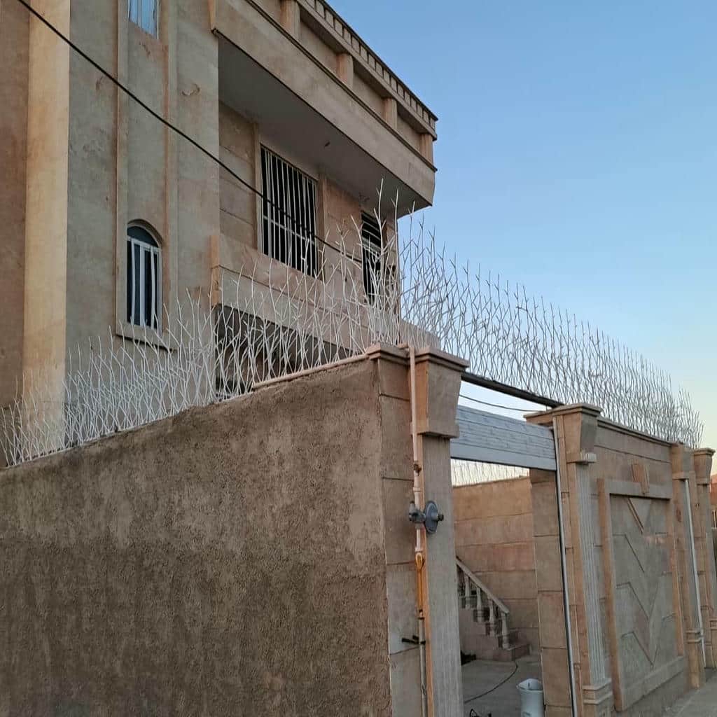 مقایسه حفاظ شاخ گوزنی با سایر انواع حفاظ
