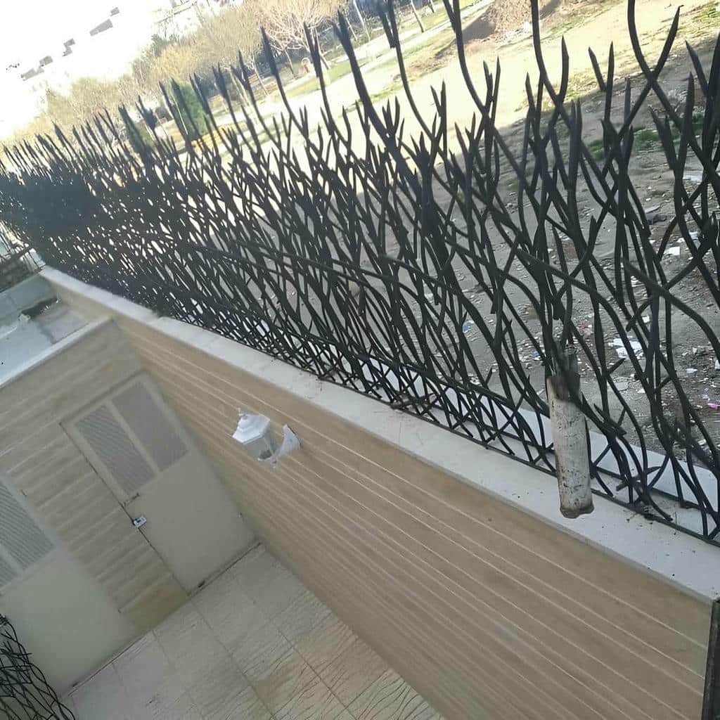 مزایا و معایب حفاظ شاخ گوزنی کرج