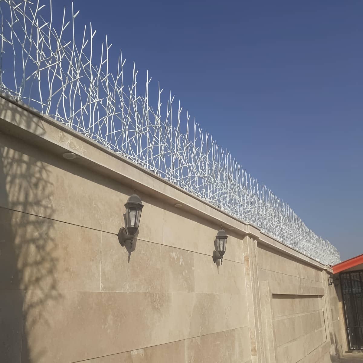 حفاظ شاخ گوزنی برای دیوارها