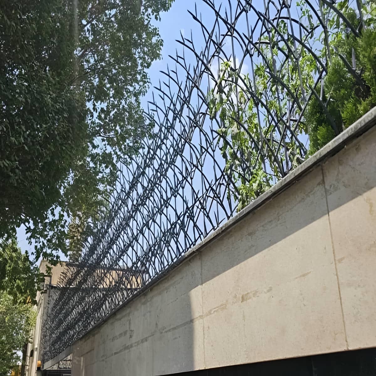 حفاظ شاخ گوزنی برای دیوارها