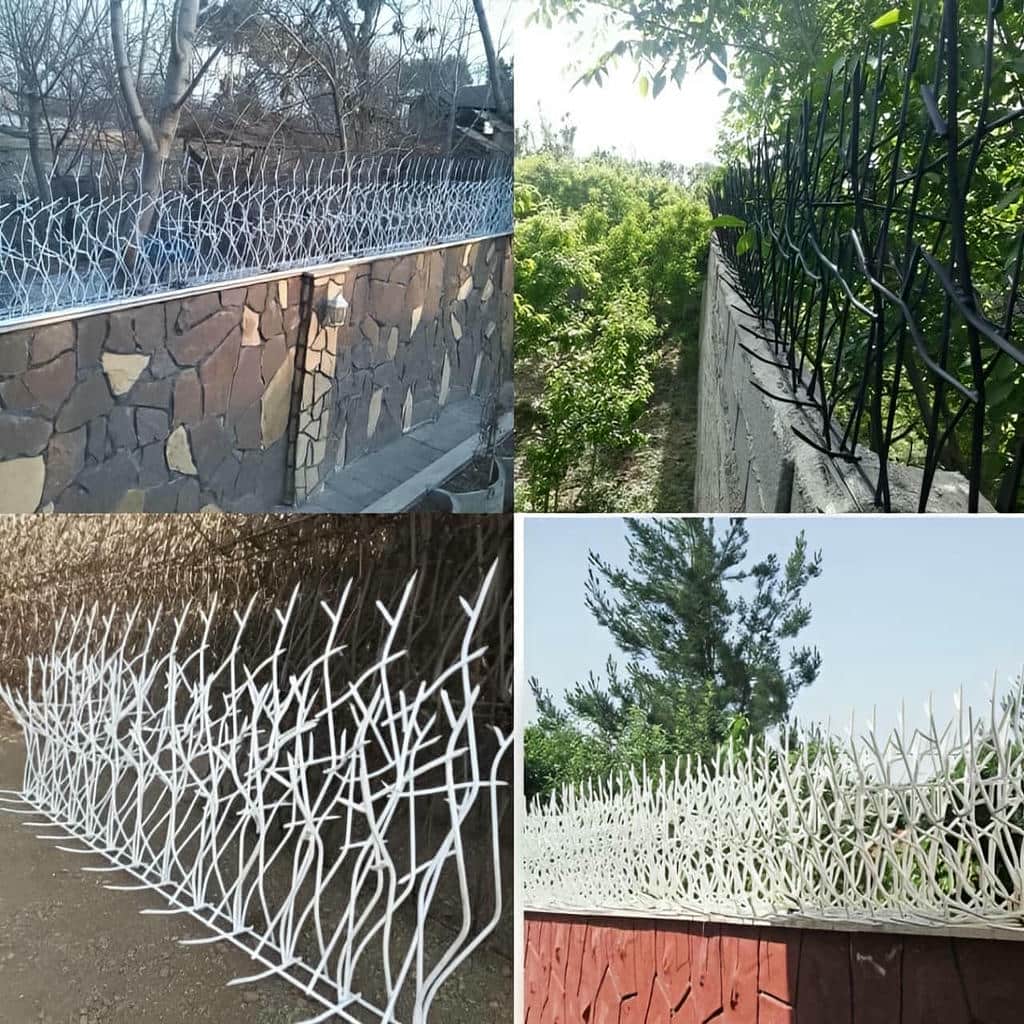 حفاظ دیوار در استان فارس مدل شاخ گوزنی برای افزایش امنیت ورودی