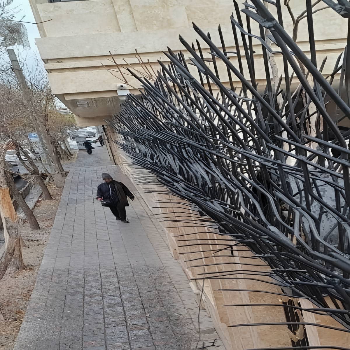 فنس الکتریکی