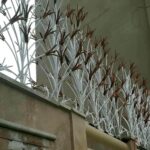 مرکز معتبر فروش حفاظ دیوار حیاط با قیمت مناسب برای مقاومت در برابر باد و باران و آفتاب