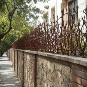 حفاظ دیوار در استان هرمزگان مدل شاخ گوزنی برای امنیت ساختمان