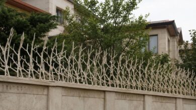 حفاظ دیوار در استان کرمان مدل شاخ گوزنی برای کنترل دسترسی