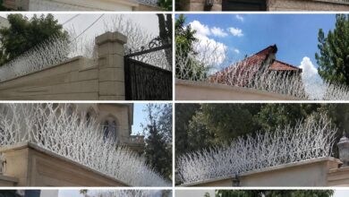حفاظ دیوار در اهواز مدل شاخ گوزنی برای امنیت پیرامونی