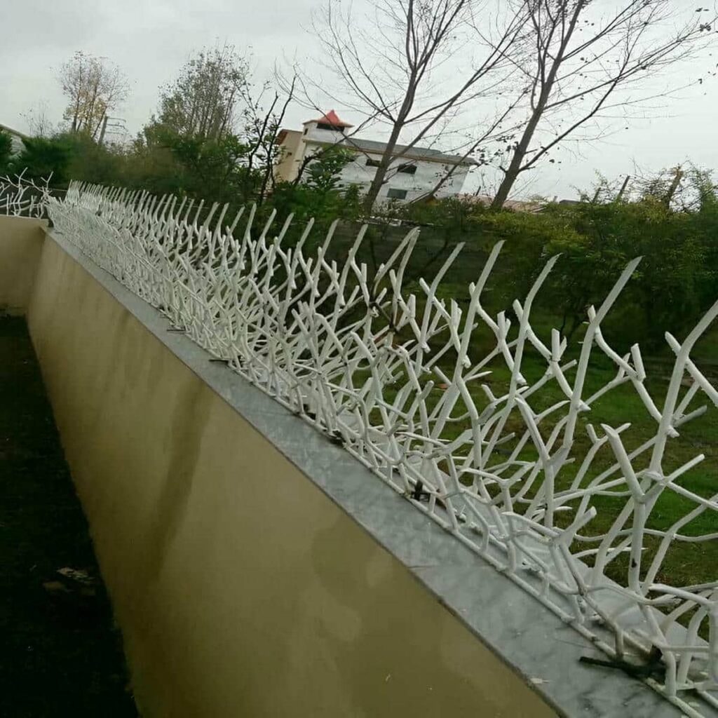 قیمت مناسب برای حفاظ شاخ گوزنی
