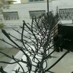 مرکز تخصصی فروش و نصب حفاظ بوته ای برای رنگ آمیزی ترمیم و نگهداری آسان